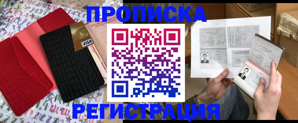 прописка поиск в Гатчине